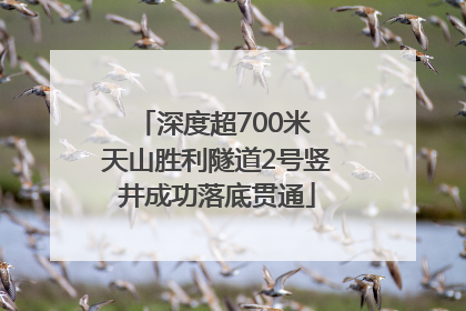 深度超700米 天山胜利隧道2号竖井成功落底贯通