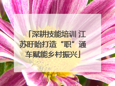 深耕技能培训 江苏盱眙打造“职”通车赋能乡村振兴