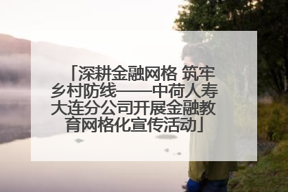 深耕金融网格 筑牢乡村防线——中荷人寿大连分公司开展金融教育网格化宣传活动