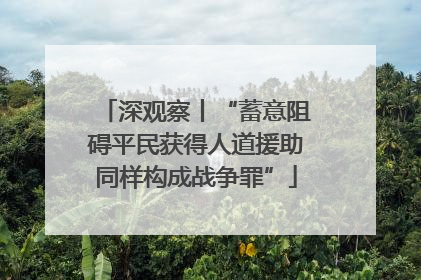 深观察丨“蓄意阻碍平民获得人道援助同样构成战争罪”