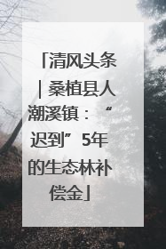清风头条｜桑植县人潮溪镇：“迟到”5年的生态林补偿金