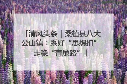 清风头条｜桑植县八大公山镇：系好“思想扣” 走稳“青廉路”