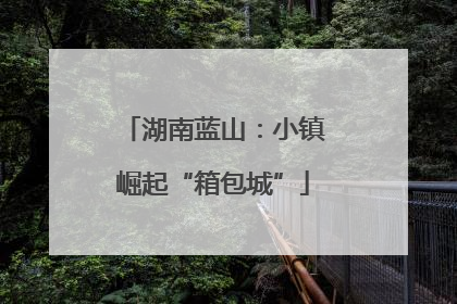 湖南蓝山：小镇崛起“箱包城”