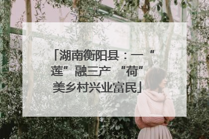 湖南衡阳县：一“莲”融三产 “荷”美乡村兴业富民