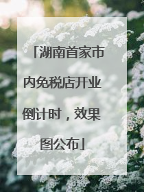 湖南首家市内免税店开业倒计时，效果图公布