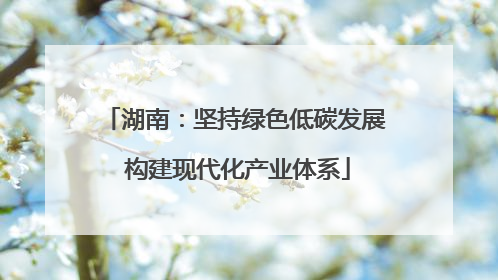 湖南：坚持绿色低碳发展 构建现代化产业体系