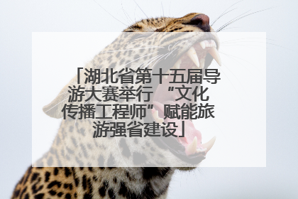 湖北省第十五届导游大赛举行 “文化传播工程师”赋能旅游强省建设