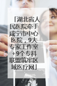 湖北省人民医院牵手咸宁市中心医院，9大专家工作室+9个专科联盟筑牢区域医疗网