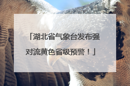 湖北省气象台发布强对流黄色省级预警！