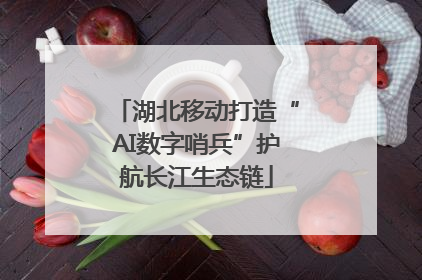 湖北移动打造“AI数字哨兵”护航长江生态链
