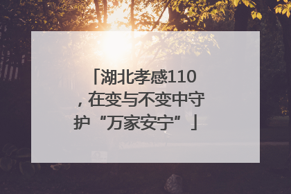 湖北孝感110，在变与不变中守护“万家安宁”