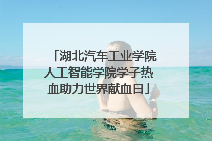 湖北汽车工业学院人工智能学院学子热血助力世界献血日