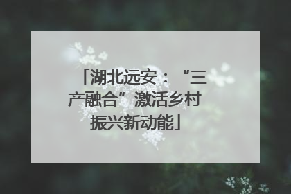 湖北远安：“三产融合”激活乡村振兴新动能