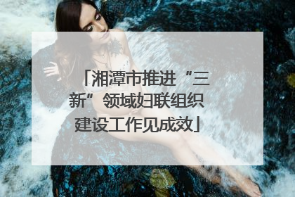 湘潭市推进“三新”领域妇联组织建设工作见成效
