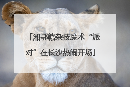 湘鄂赣杂技魔术“派对”在长沙热闹开场