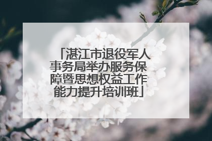 湛江市退役军人事务局举办服务保障暨思想权益工作能力提升培训班