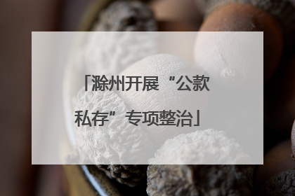滁州开展“公款私存”专项整治