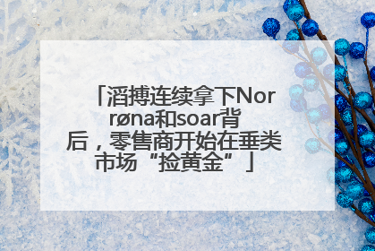 滔搏连续拿下Norrøna和soar背后，零售商开始在垂类市场“捡黄金”