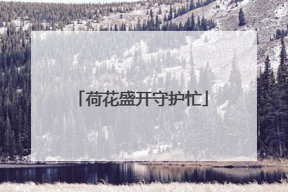 荷花盛开守护忙