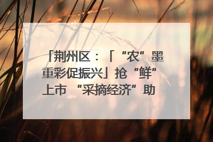 荆州区：「“农”墨重彩促振兴」抢“鲜”上市 “采摘经济”助农“甜蜜增收”
