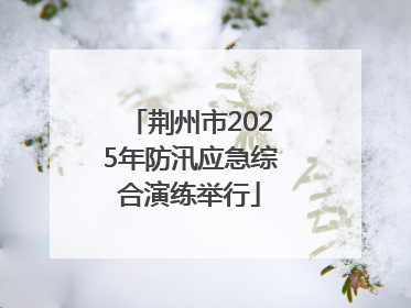 荆州市2025年防汛应急综合演练举行