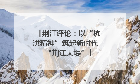荆江评论：以“抗洪精神”筑起新时代“荆江大堤”