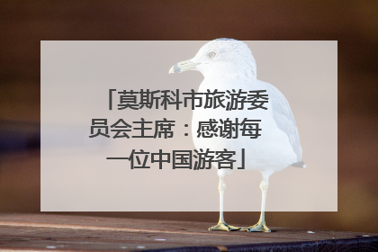 莫斯科市旅游委员会主席：感谢每一位中国游客