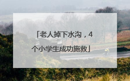 老人掉下水沟，4个小学生成功施救