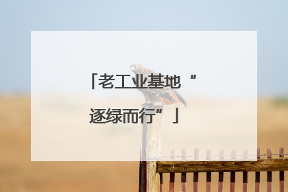 老工业基地“逐绿而行”