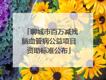 聊城市百万减残脑血管病公益项目资助标准公布