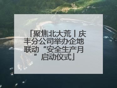 聚焦北大荒丨庆丰分公司举办企地联动“安全生产月”启动仪式