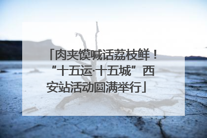 肉夹馍喊话荔枝鲜！“十五运·十五城”西安站活动圆满举行