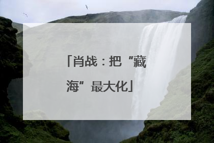 肖战：把“藏海”最大化