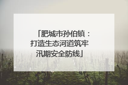 肥城市孙伯镇：打造生态河道筑牢汛期安全防线