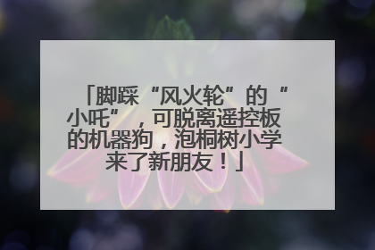 脚踩“风火轮”的“小吒”，可脱离遥控板的机器狗，泡桐树小学来了新朋友！