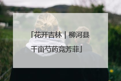 花开吉林｜柳河县千亩芍药竞芳菲