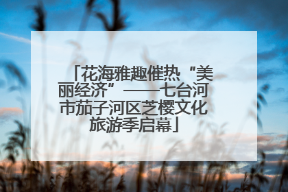 花海雅趣催热“美丽经济”——七台河市茄子河区芝樱文化旅游季启幕