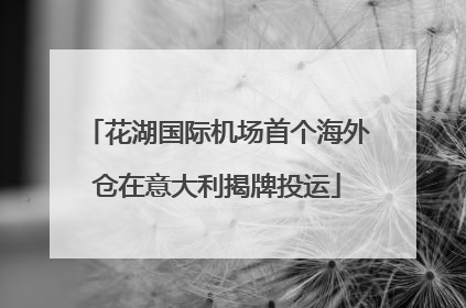 花湖国际机场首个海外仓在意大利揭牌投运