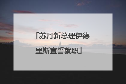 苏丹新总理伊德里斯宣誓就职