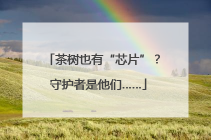 茶树也有“芯片”？守护者是他们……