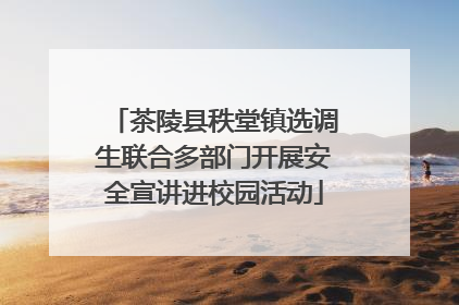 茶陵县秩堂镇选调生联合多部门开展安全宣讲进校园活动