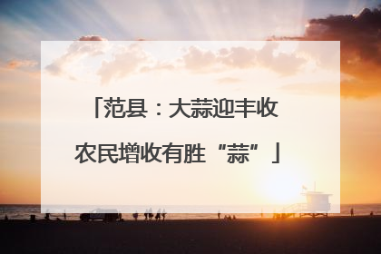 范县：大蒜迎丰收 农民增收有胜“蒜”