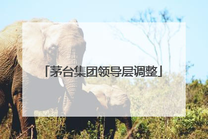 茅台集团领导层调整