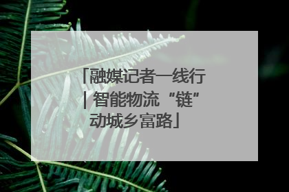 融媒记者一线行｜智能物流“链”动城乡富路