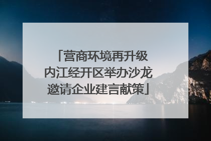 营商环境再升级 内江经开区举办沙龙邀请企业建言献策