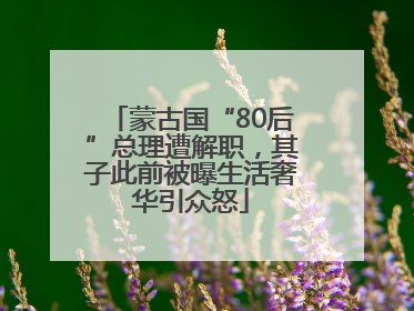 蒙古国“80后”总理遭解职，其子此前被曝生活奢华引众怒