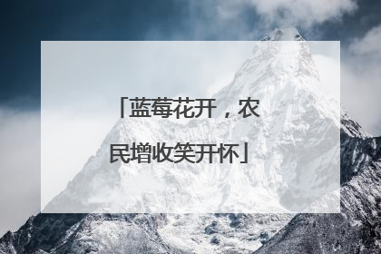蓝莓花开，农民增收笑开怀