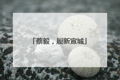 蔡毅，履新宣城