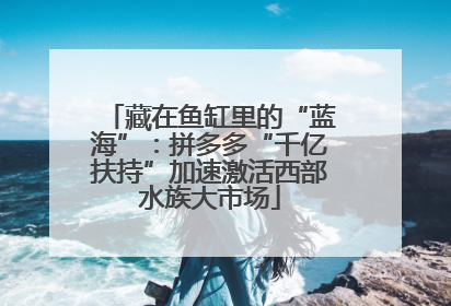 藏在鱼缸里的“蓝海”：拼多多“千亿扶持”加速激活西部水族大市场