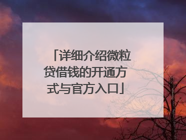 详细介绍微粒贷借钱的开通方式与官方入口